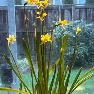 Meet your Posher, Jade